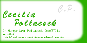 cecilia pollacsek business card